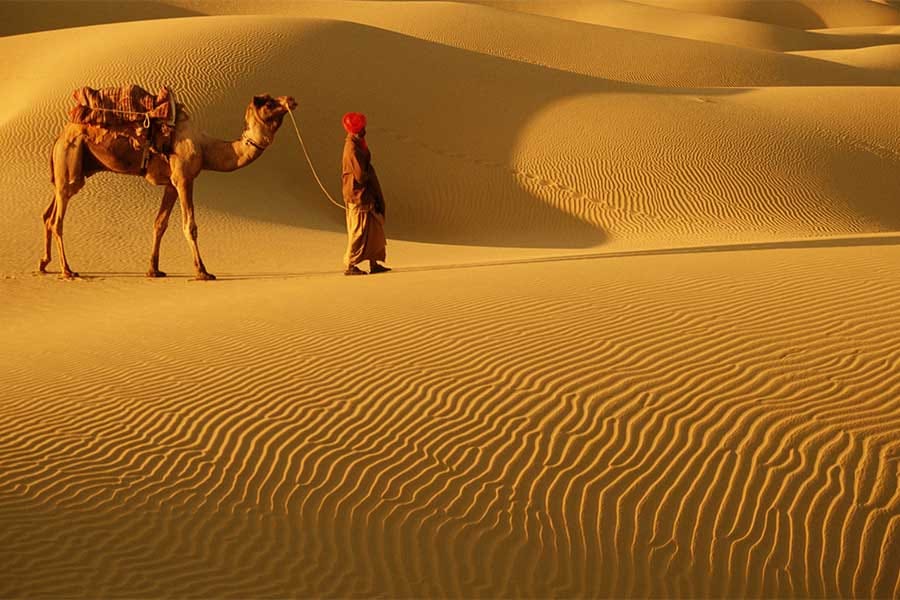 Best Camp in Jaisalmer
